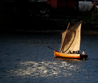Brown sail