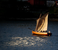brown sails b