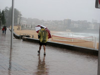 manly0180